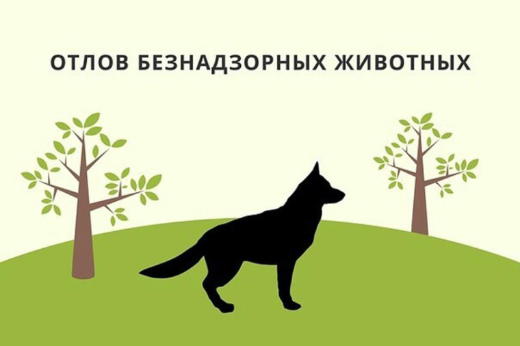 Администрация Черемисиновского района Курской области информирует о предстоящем плановом отлове животных без владельцев 2 июня 2025 года. ВНИМАНИЮ ВЛАДЕЛЬЦЕВ ЖИВОТНЫХ!..
