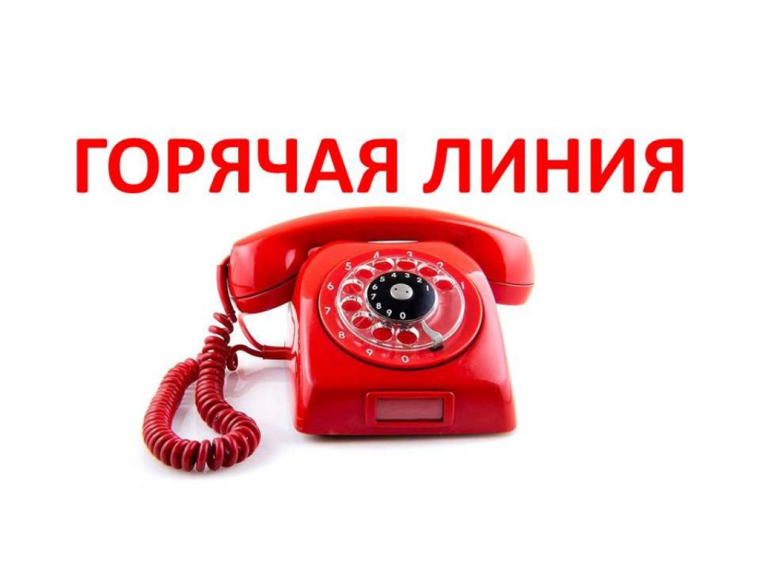 Консультирование граждан. Консультирование граждан.