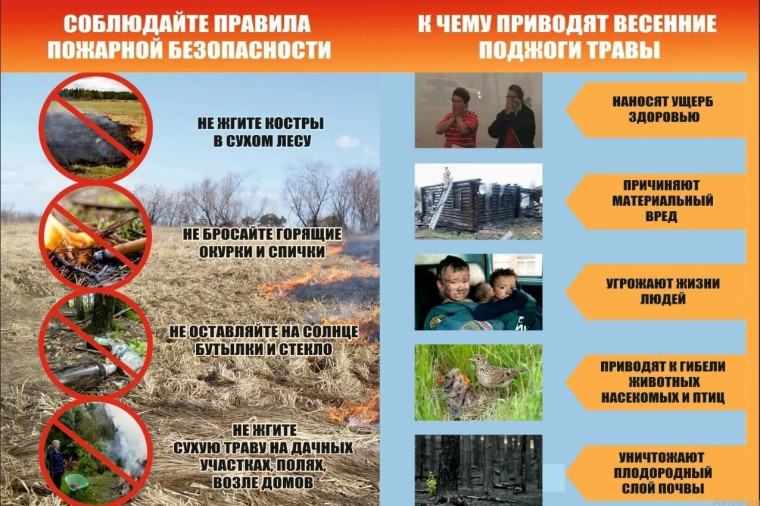 К чему приводят весенние поджоги травы. К чему приводят весенние поджоги травы.